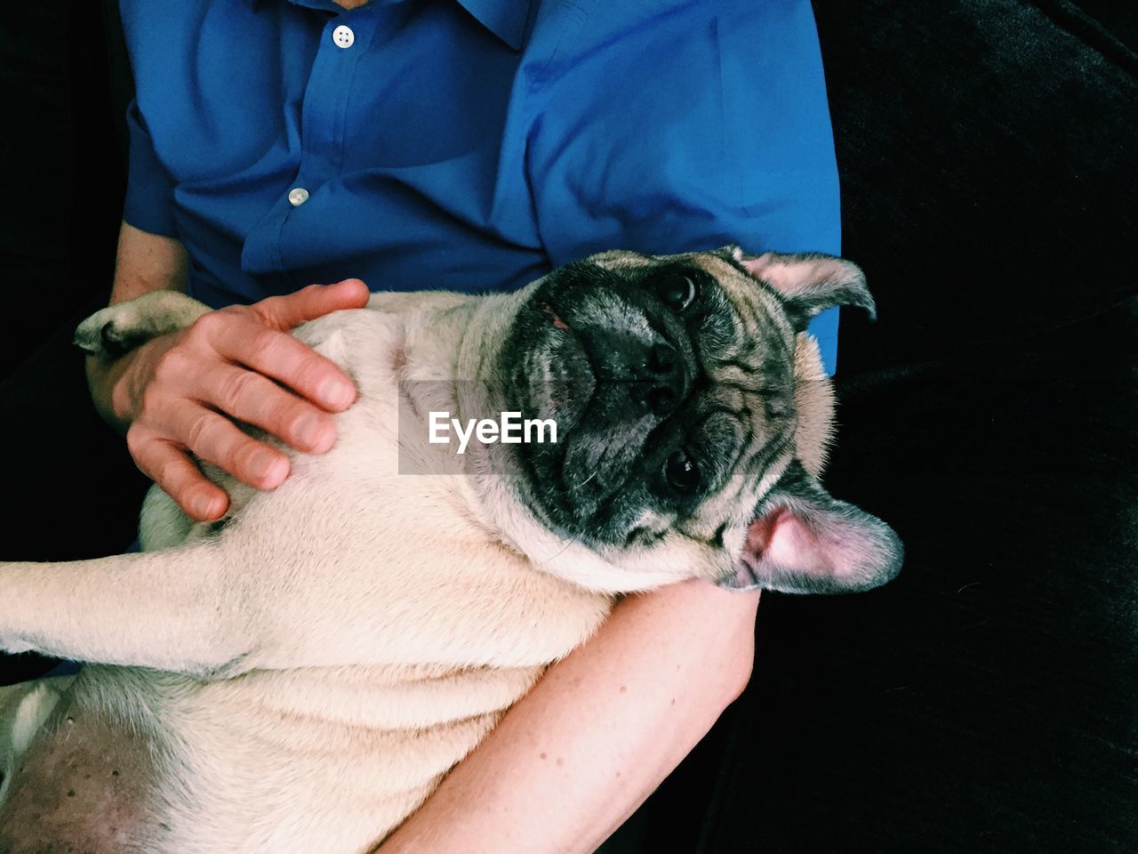 Man holding pug