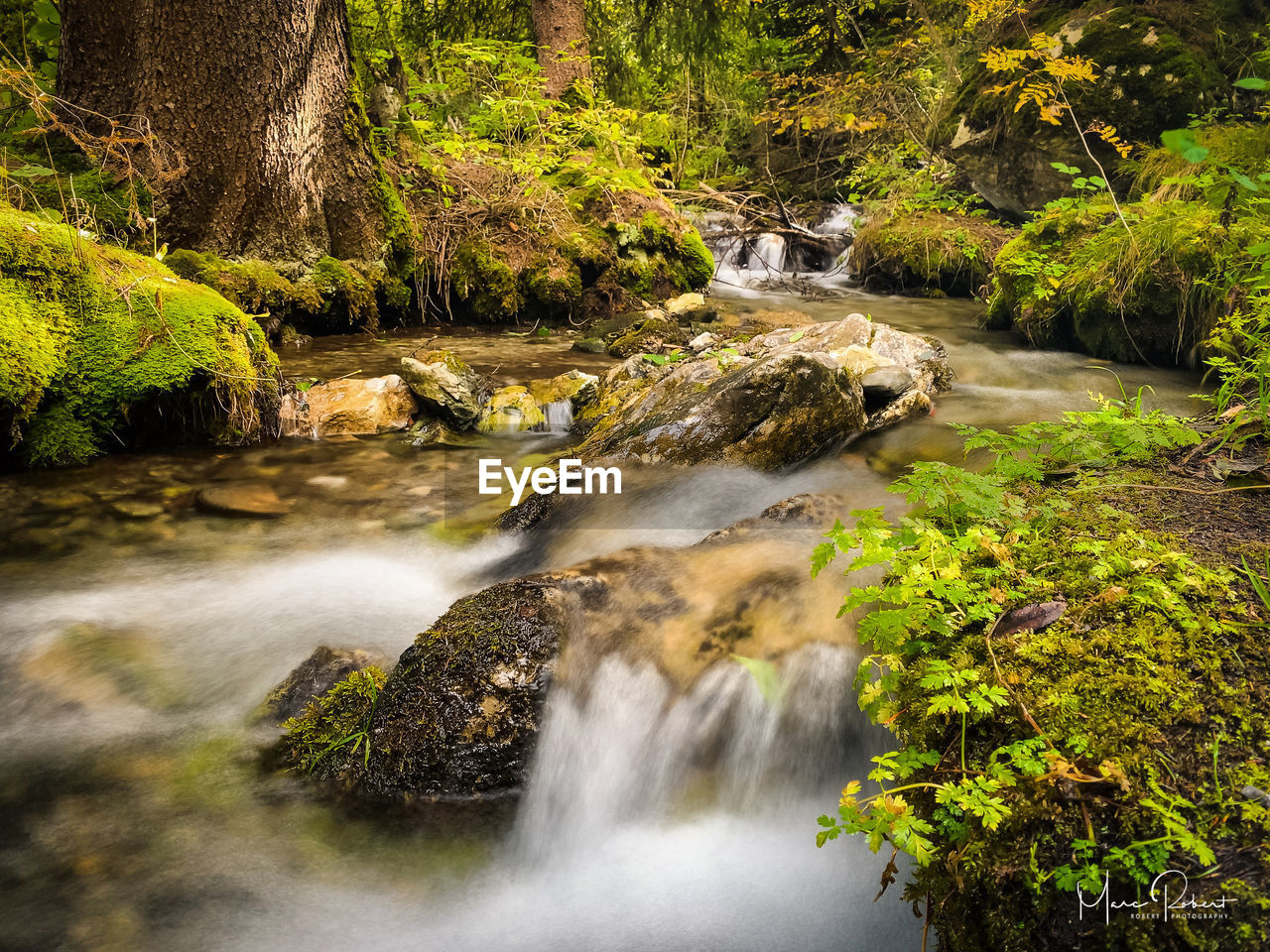 WATERFALL IN FOREST
