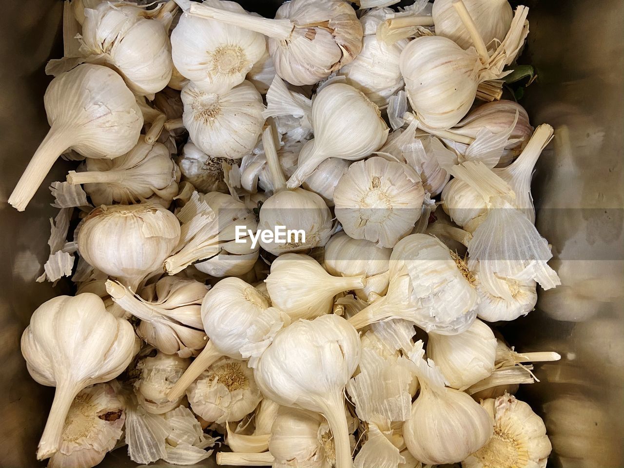 Full frame of garlic bulbs.