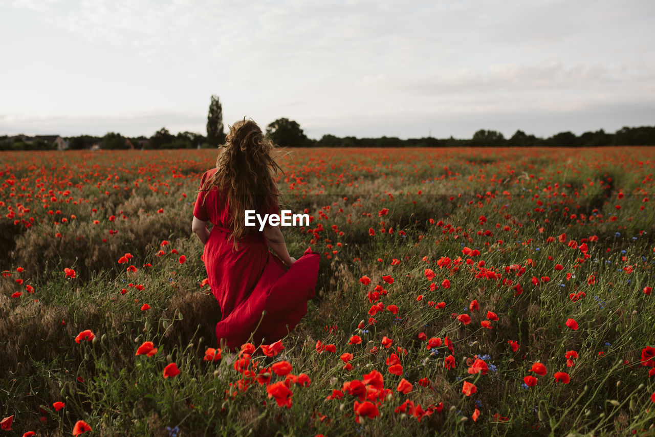 Rear view of woman by poppy field against sky