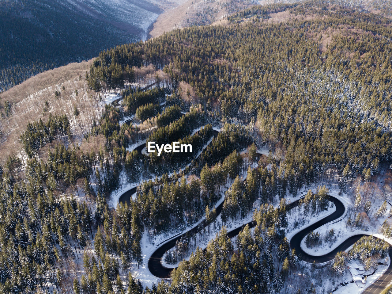 High angle view of road amidst trees
