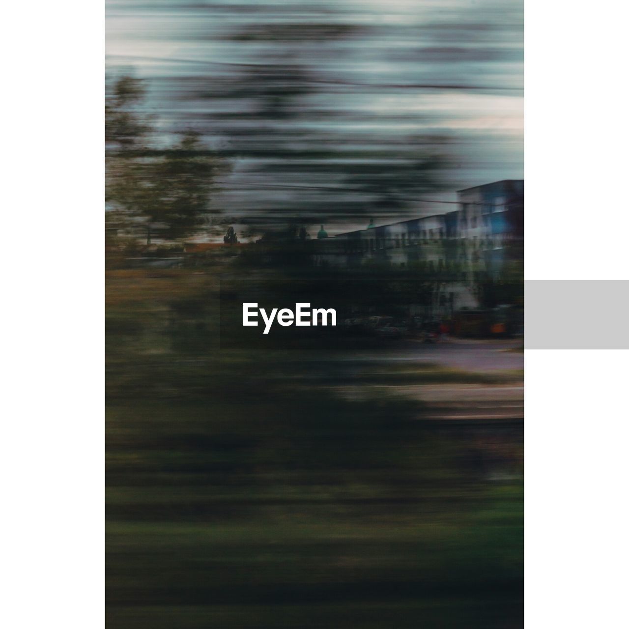 BLURRED IMAGE OF GRASS