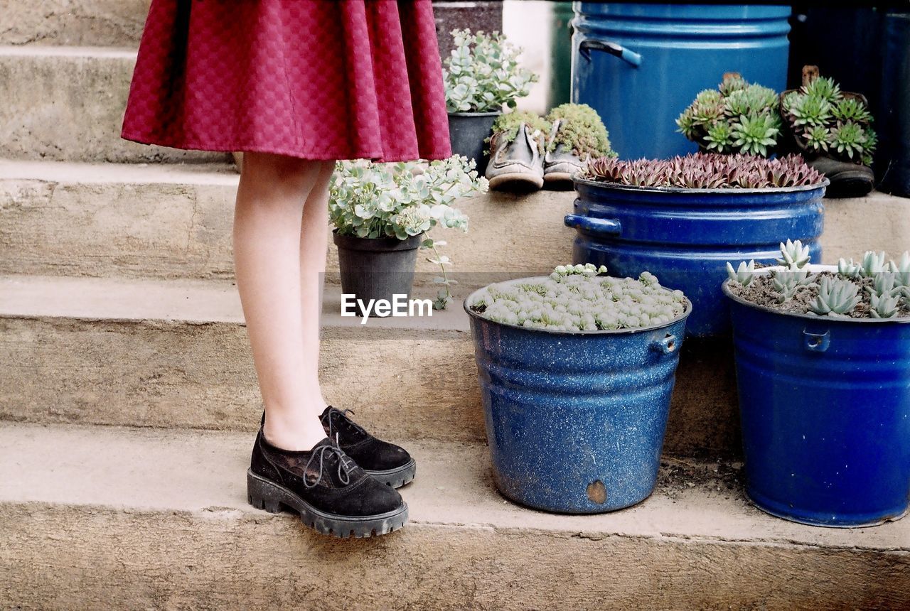 Low section of girl standing by potted plants on steps
