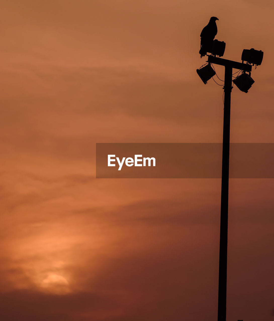 LOW ANGLE VIEW OF SILHOUETTE STREET LIGHT AGAINST ORANGE SKY