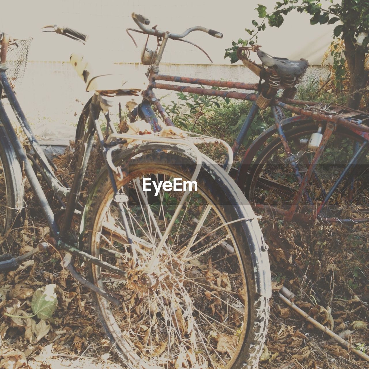 Close-up of bicycles parked against the wall