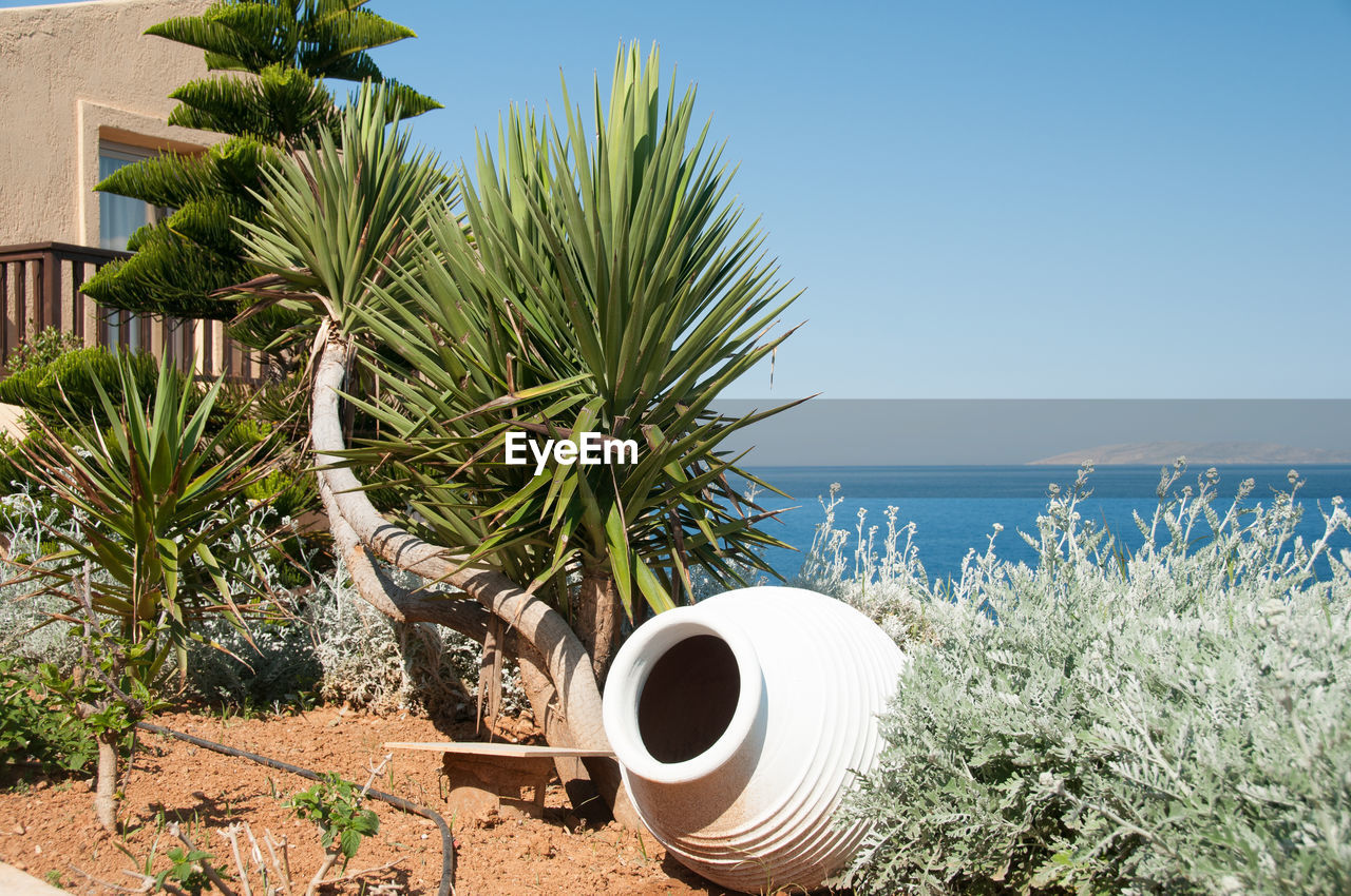 Pot and plants by sea against clear sky