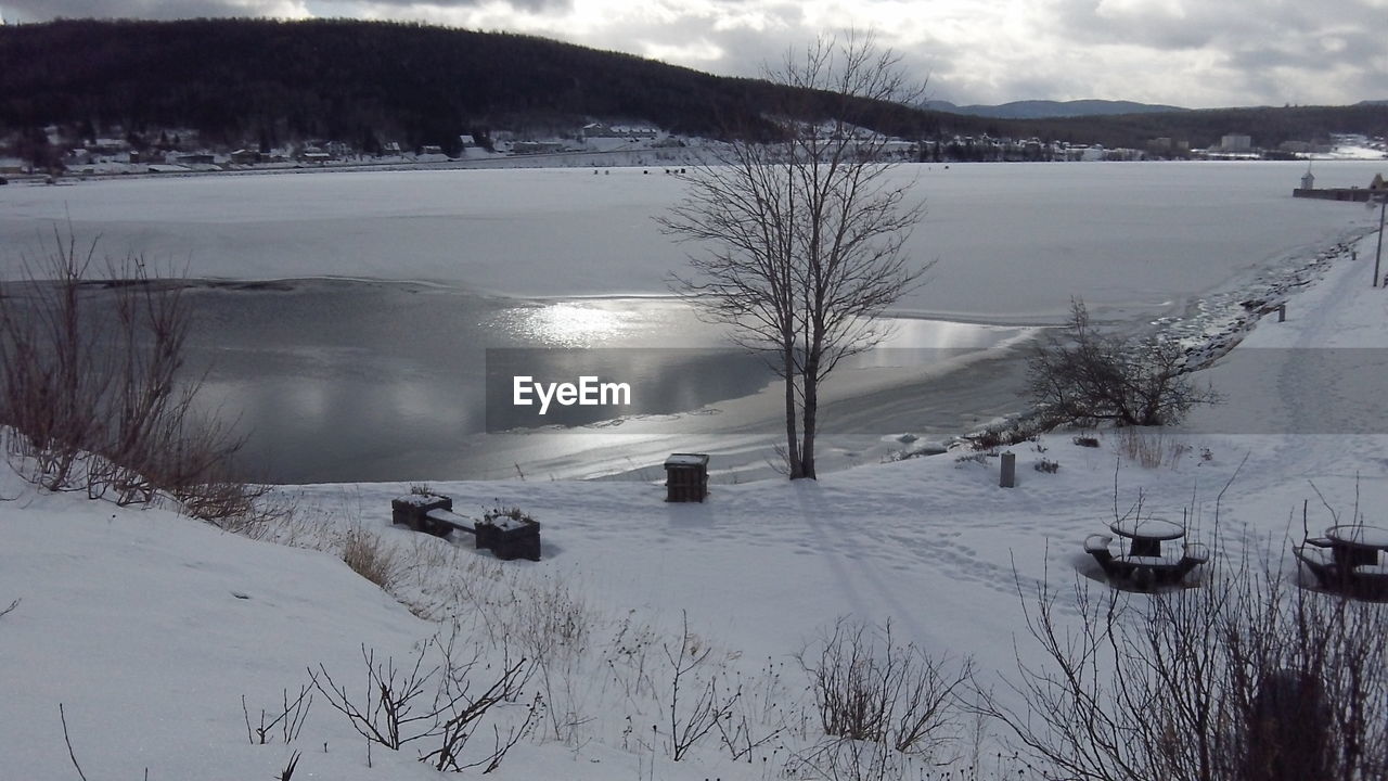 SNOW COVERED BARE TREES BY LAKE AGAINST SKY