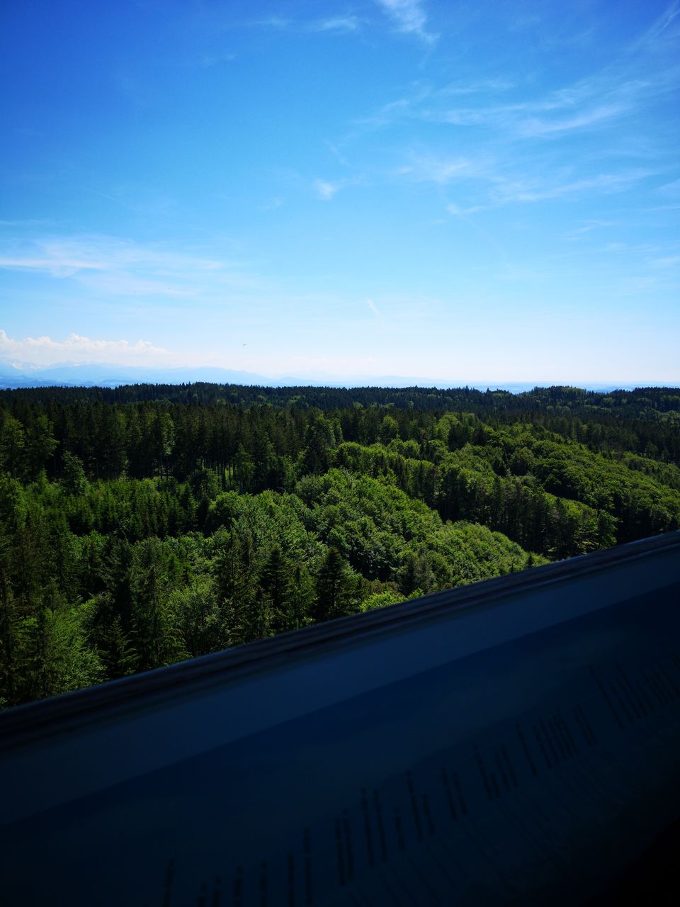 SCENIC VIEW OF FOREST AGAINST SKY