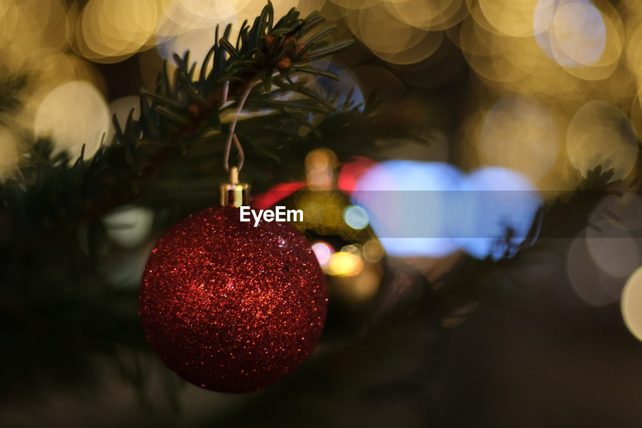 Close-up of christmas decorations hanging on tree