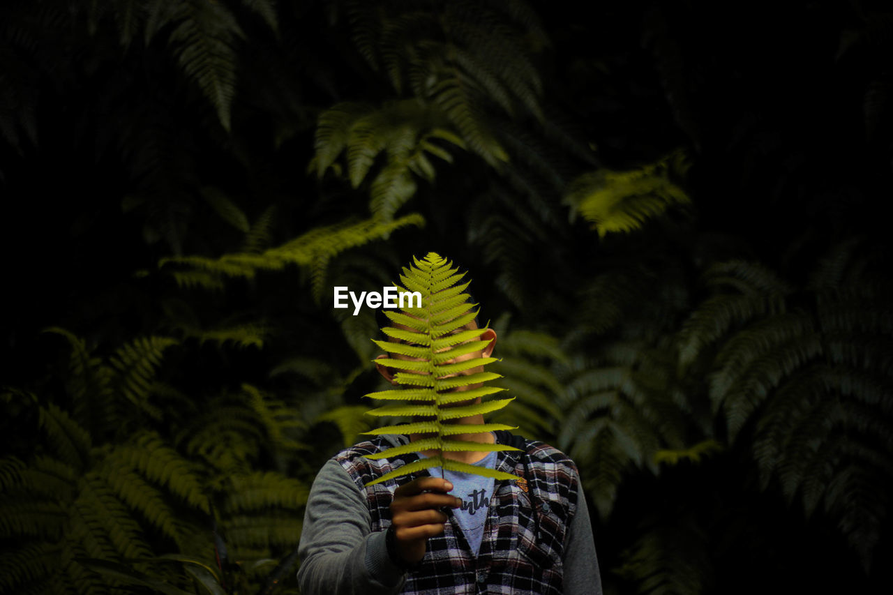 Person holding plant against trees