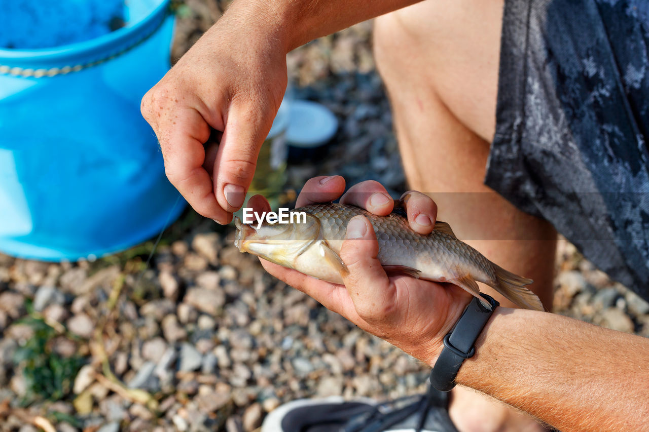 The hands of a young fisherman remove the caught fish from the hook against the blurred background.