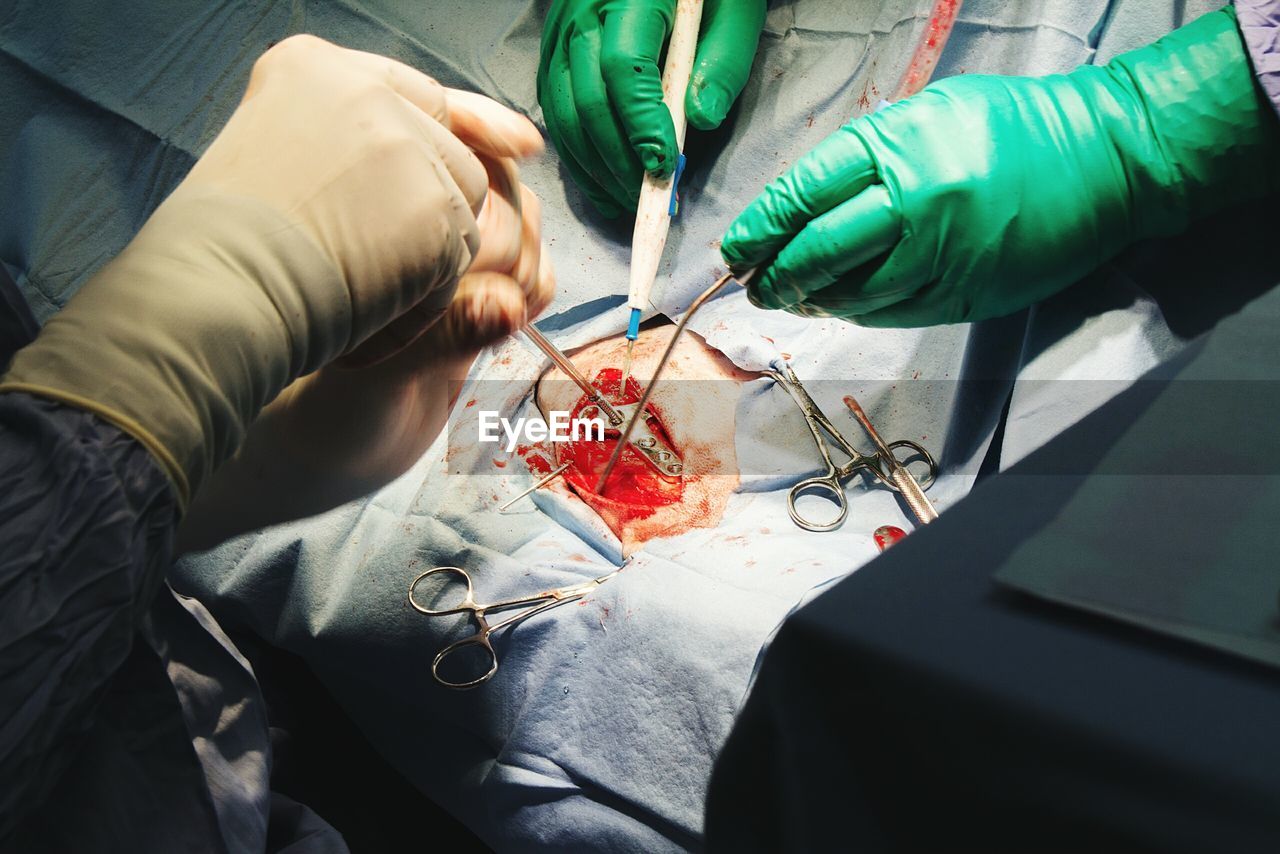 Surgeons doing operation of golden retriever in hospital