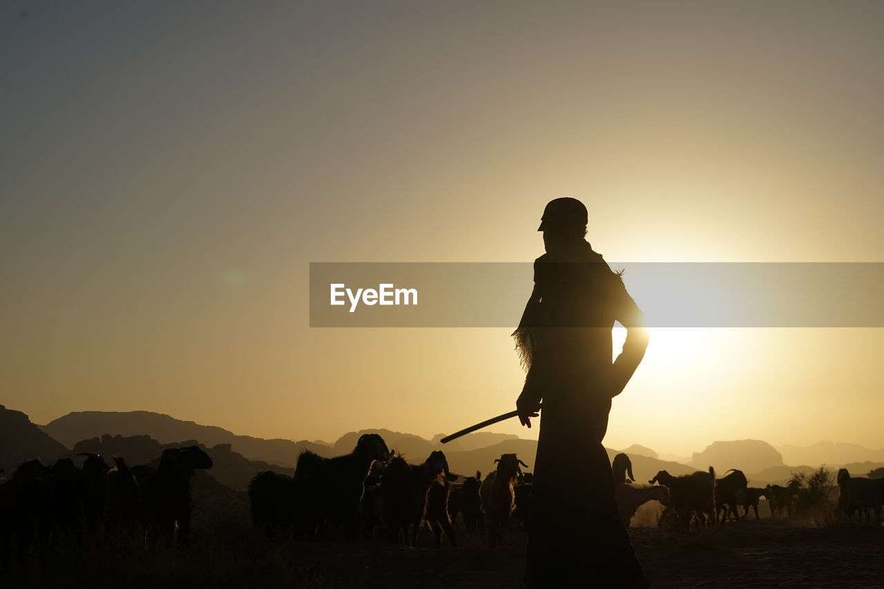 Silhouette of a shepherd at sunset