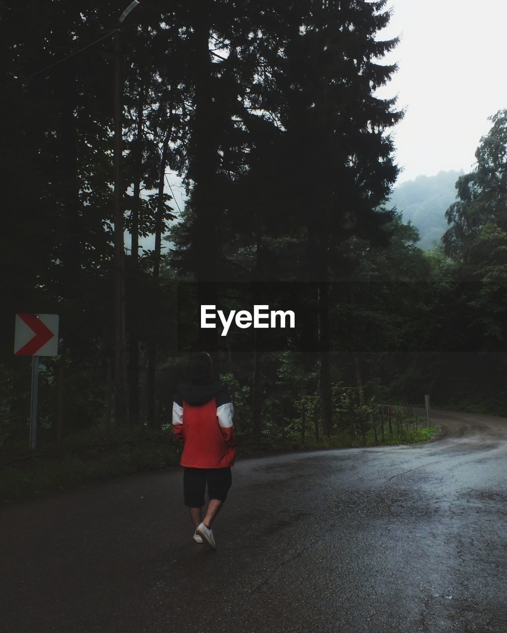 Rear view of a man walking on road amidst trees