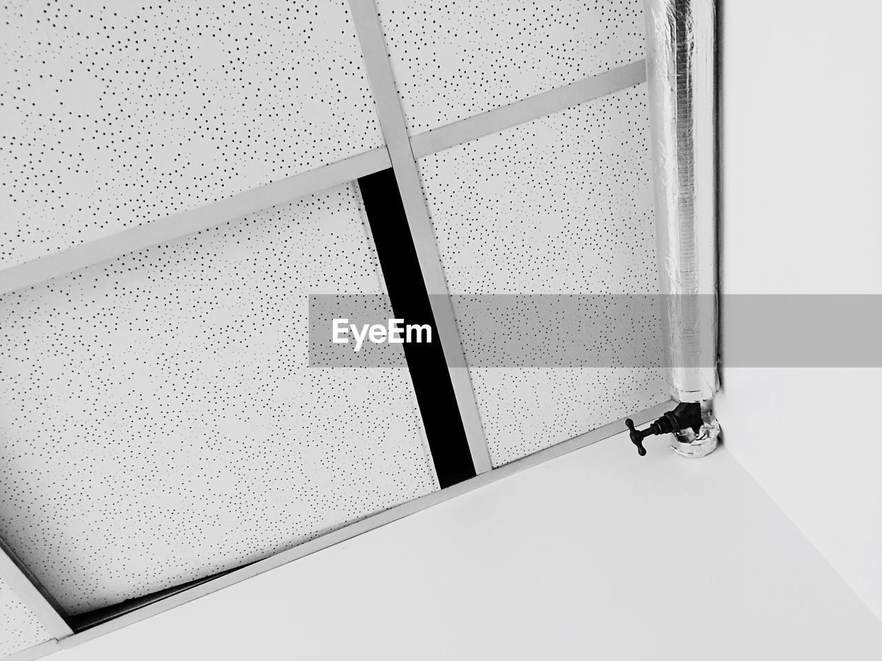 No Ceiling Cat Indoors Close Up Architecture Low On Eyeem