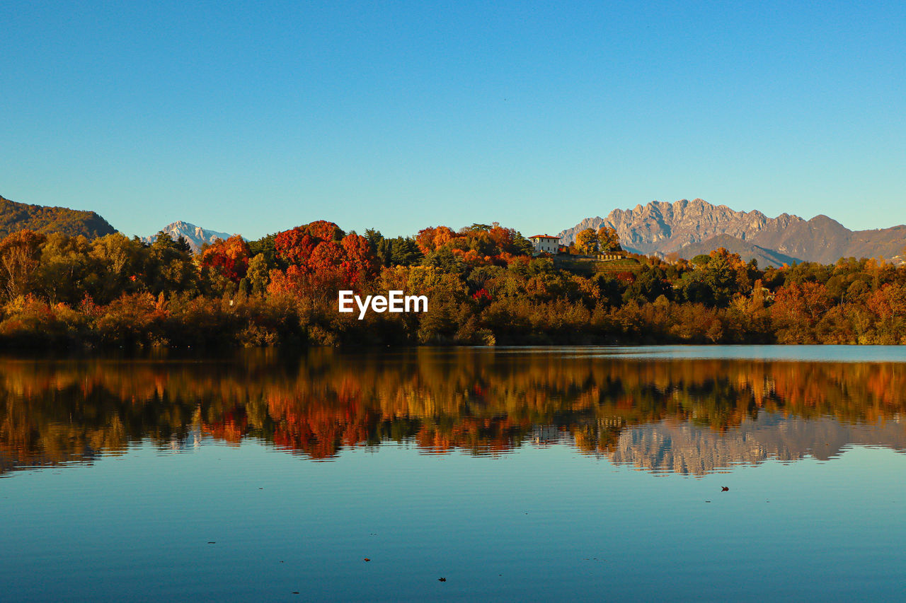 SCENIC VIEW OF LAKE BY TREES AGAINST CLEAR SKY