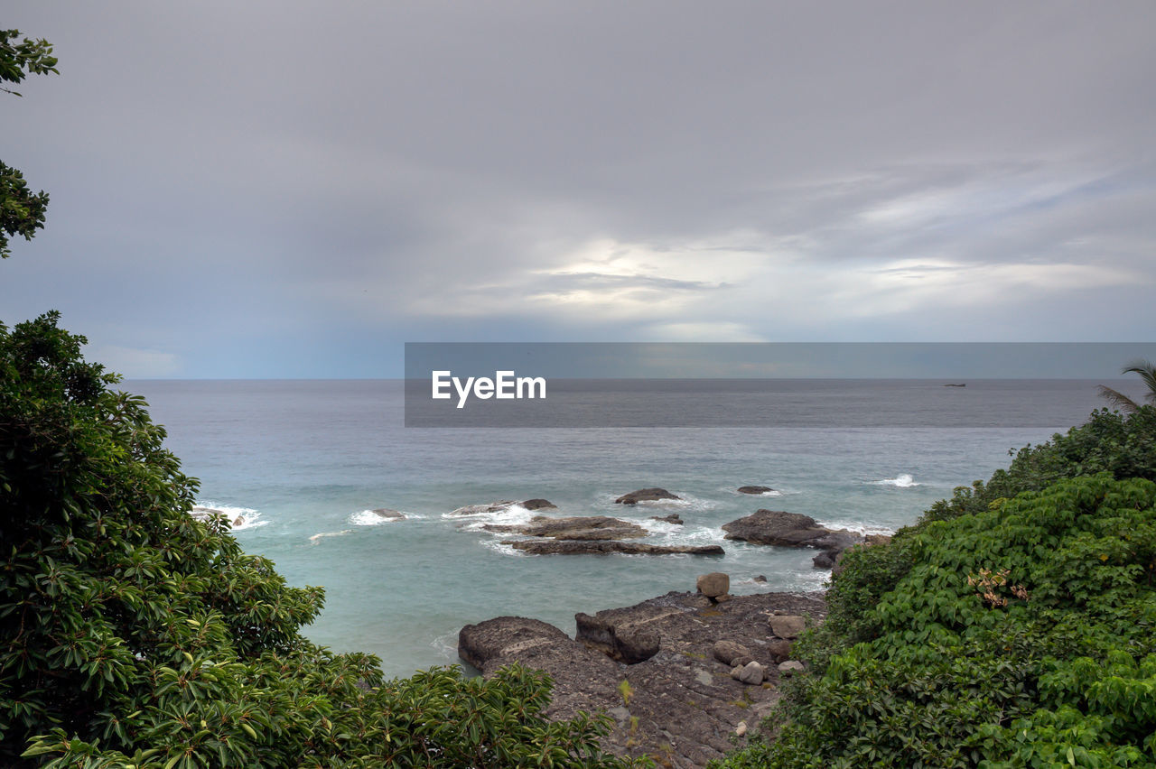 SCENIC VIEW OF SEA AND TREES AGAINST SKY