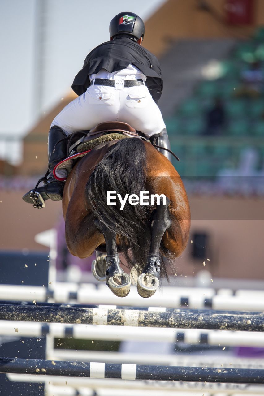 Rear view of person riding horse while jumping over rod at race
