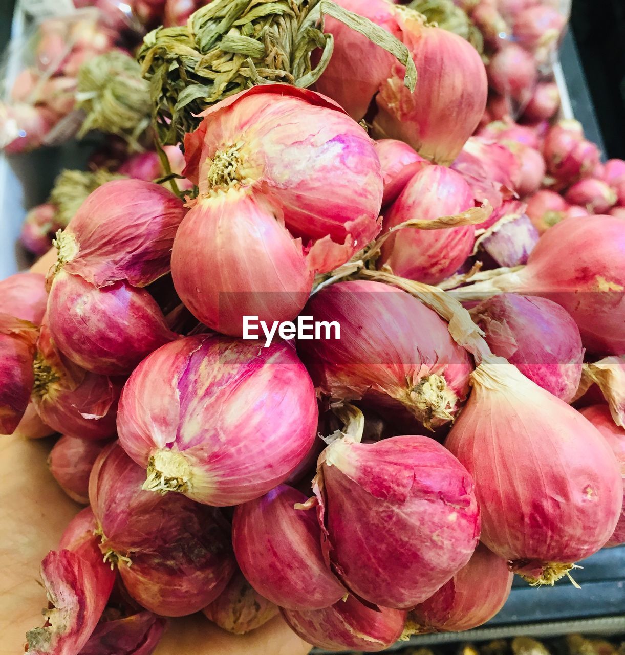 Closeup of fresh vegetables for sale in ID 138062381
