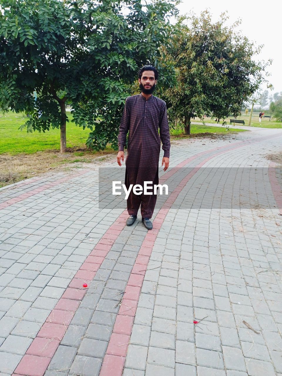 one person, full length, footpath, adult, plant, tree, men, walkway, day, road surface, lifestyles, nature, portrait, city, front view, street, clothing, outdoors, walking, looking at camera, standing, paving stone, senior adult, asphalt, person, sidewalk, formal wear