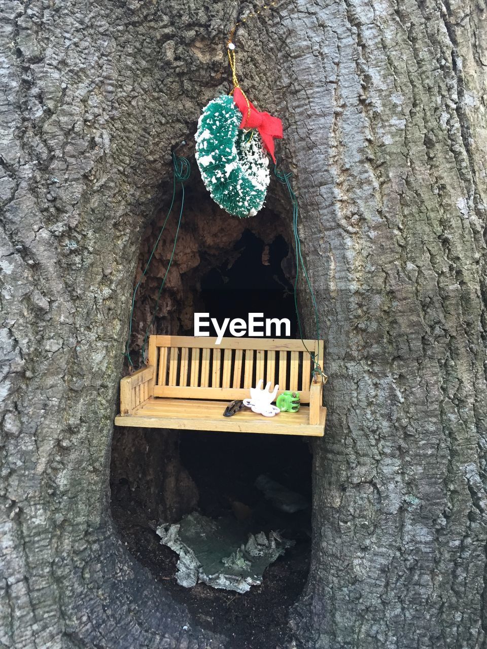 no people, day, outdoors, tree trunk, hanging, tree, close-up, nature
