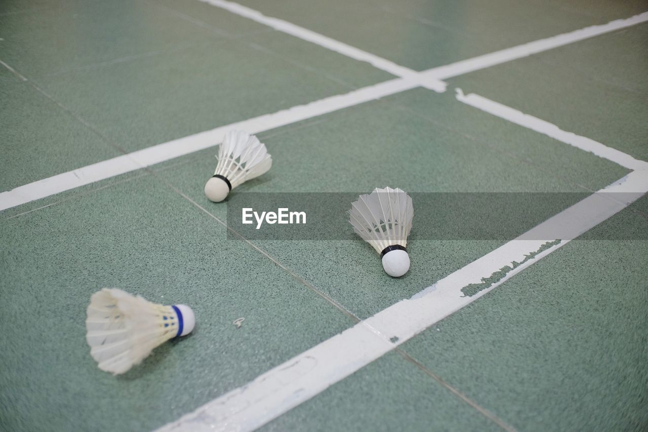 Shuttlecocks are scattered on the badminton court