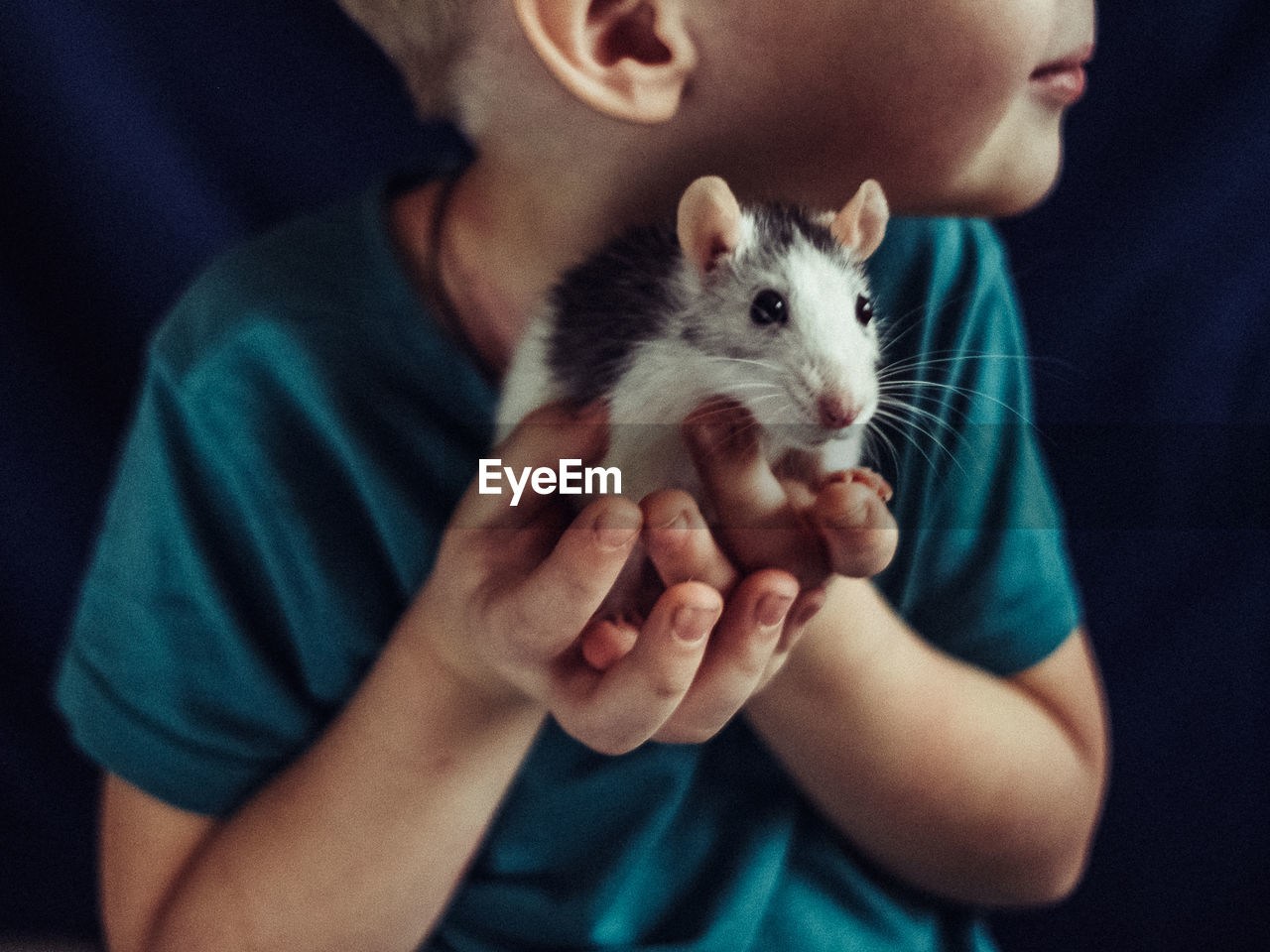 Midsection of child holding a rat at home