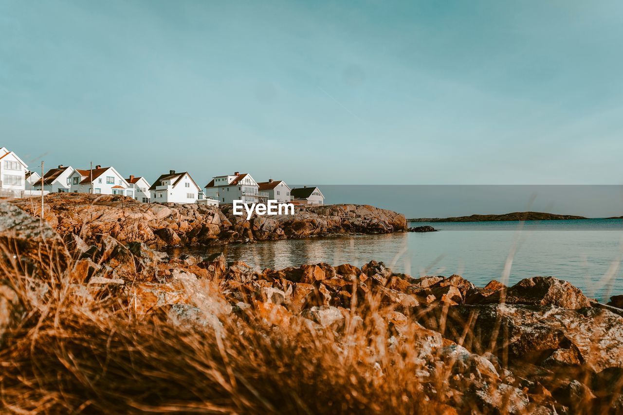 Scenic view of sea shore against sky