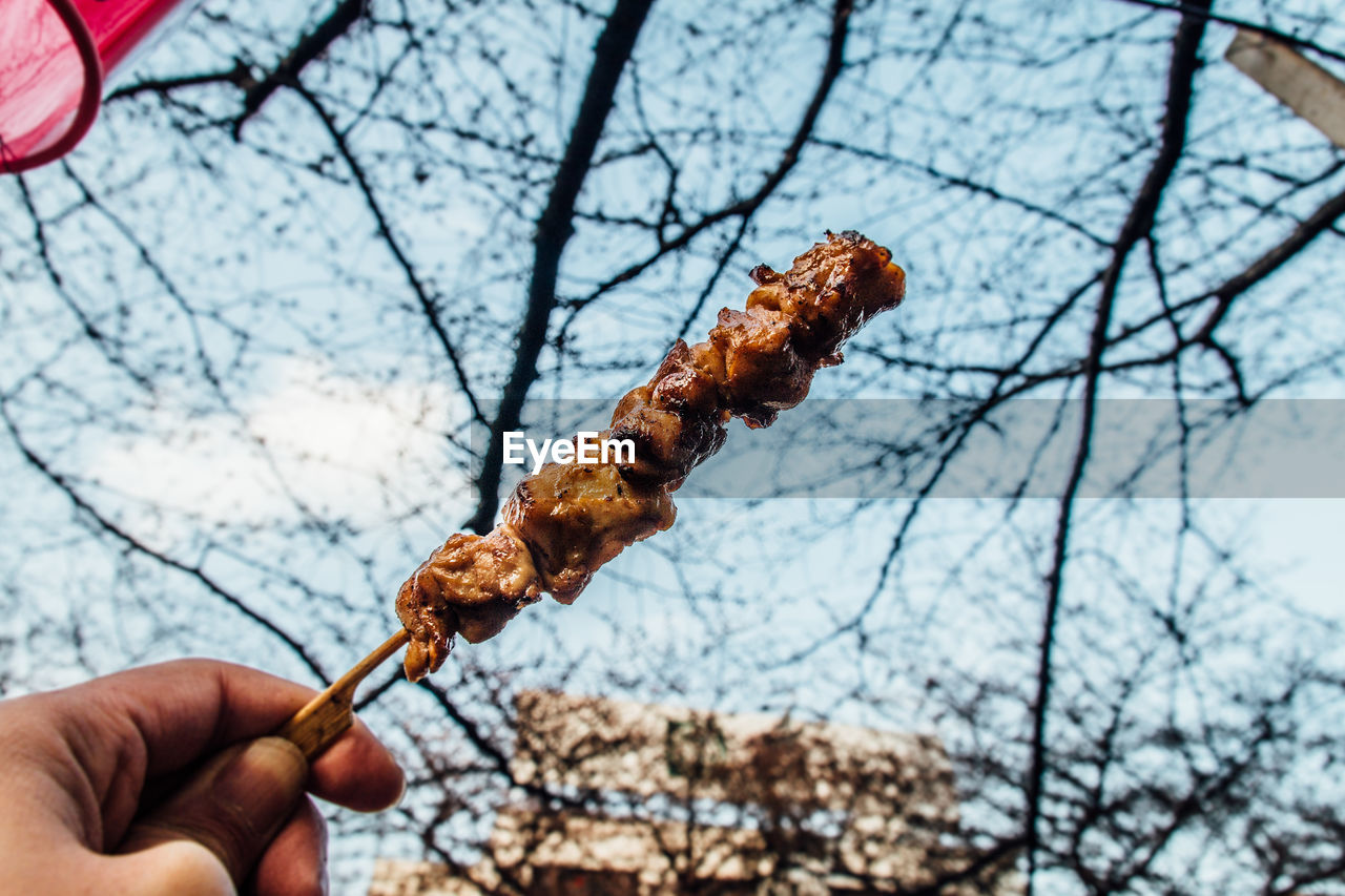 Cropped image of person holding meat in skewer against trees
