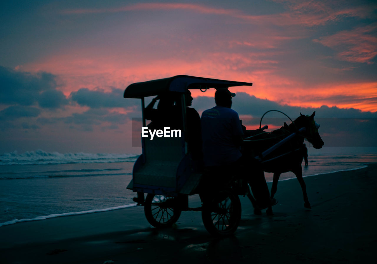 Silhouette people on horse cart at beach during sunset