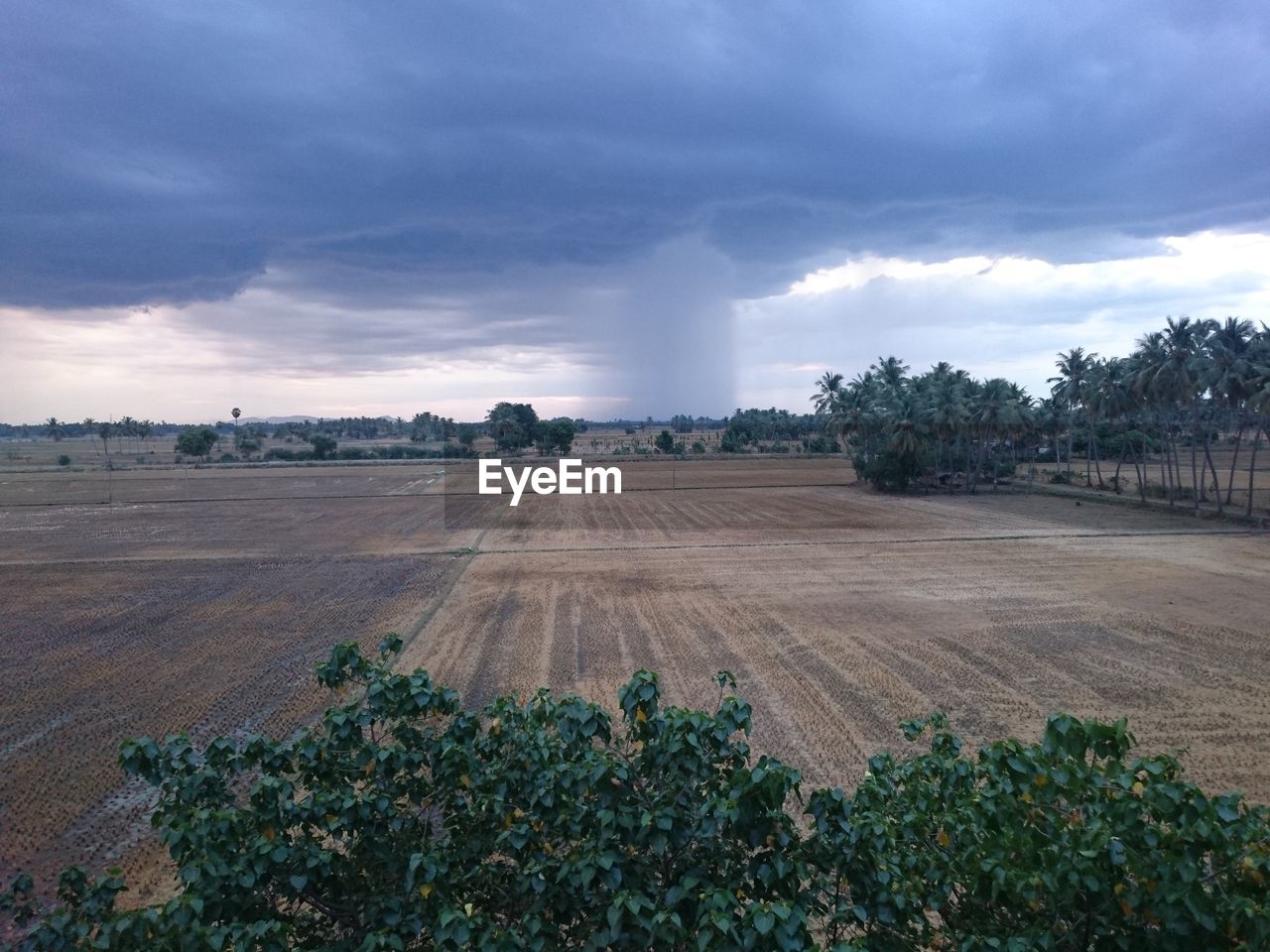 SCENIC VIEW OF RURAL LANDSCAPE
