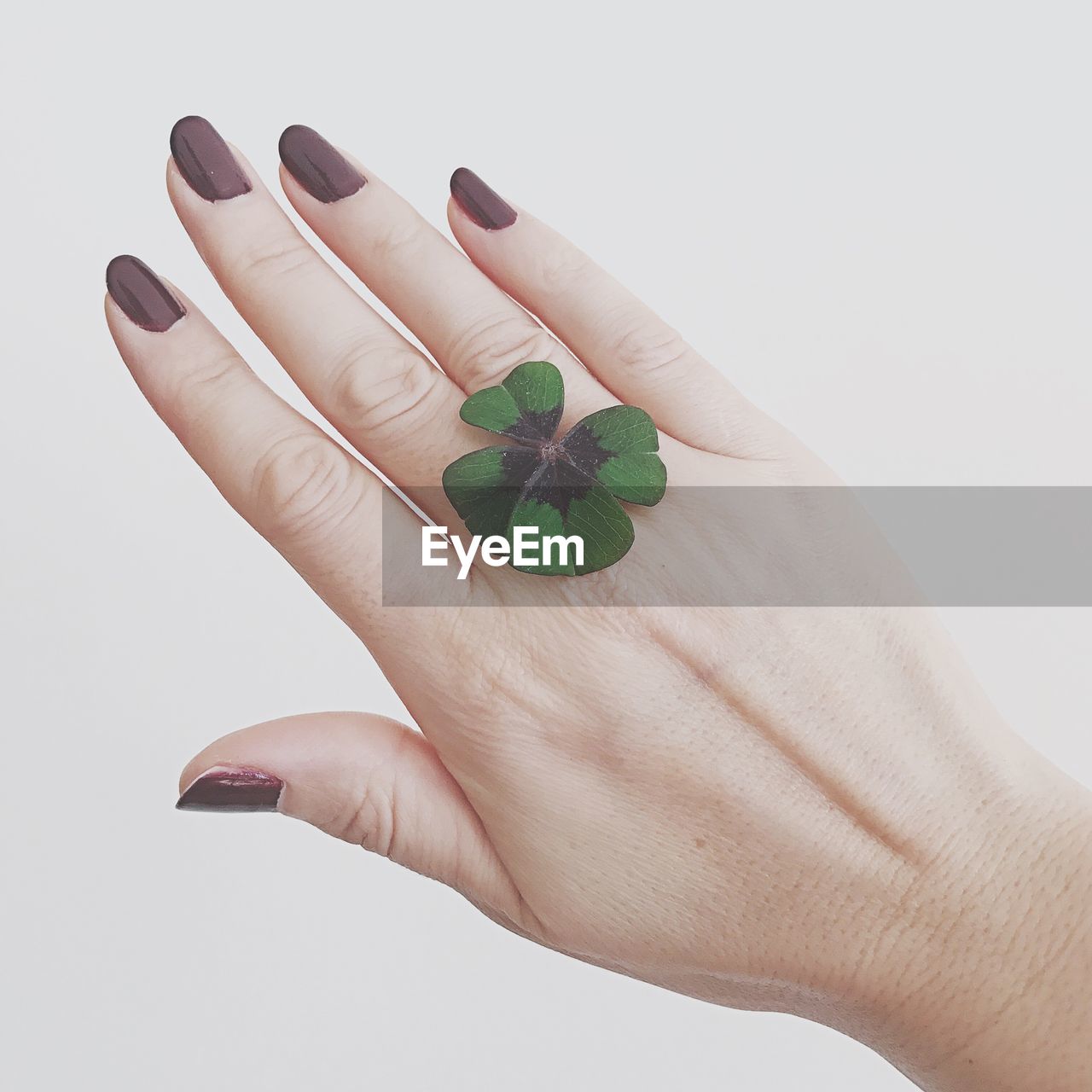 Close-up of woman hand over white background