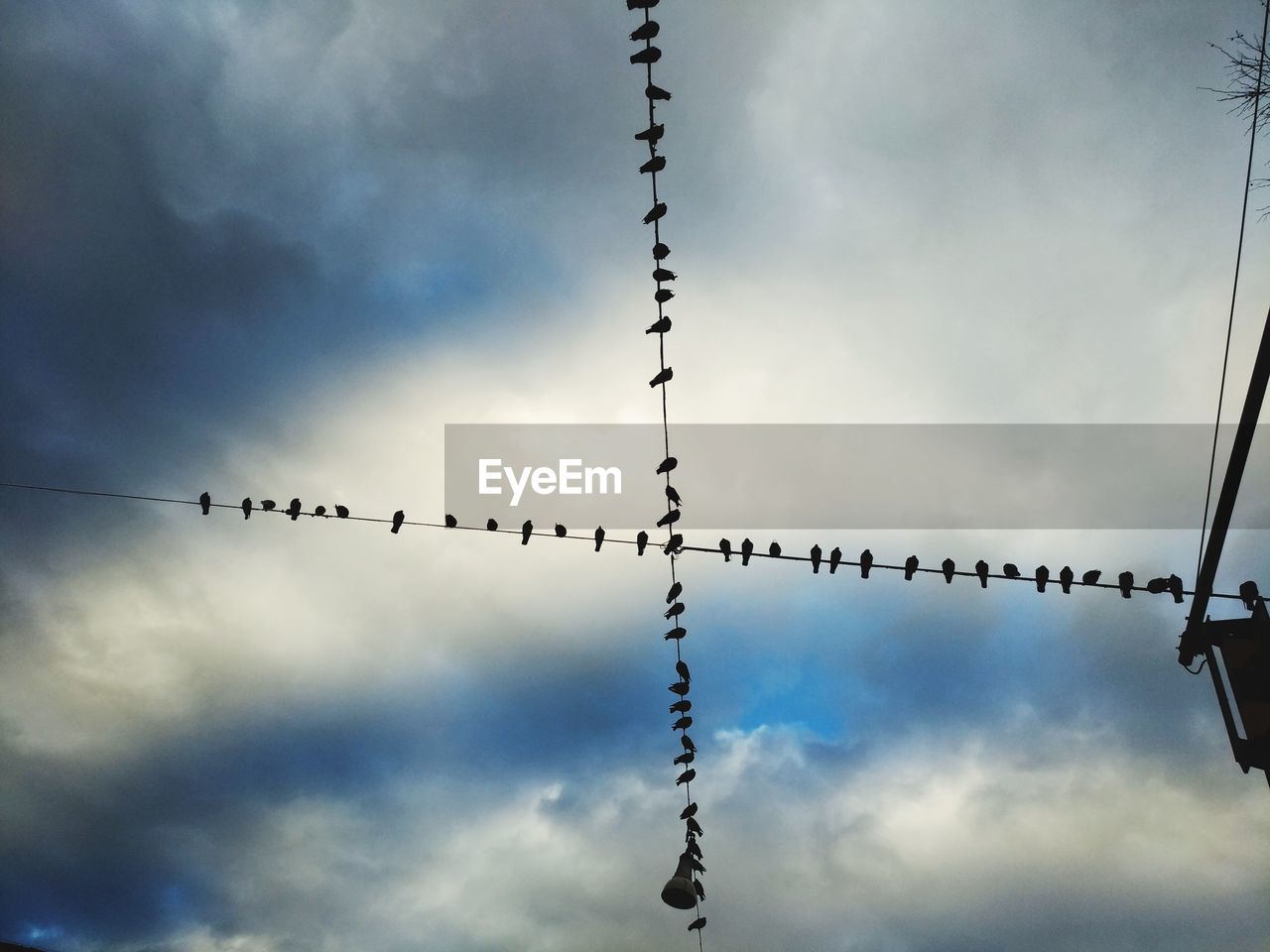 LOW ANGLE VIEW OF BIRDS PERCHING ON POWER CABLES AGAINST SKY