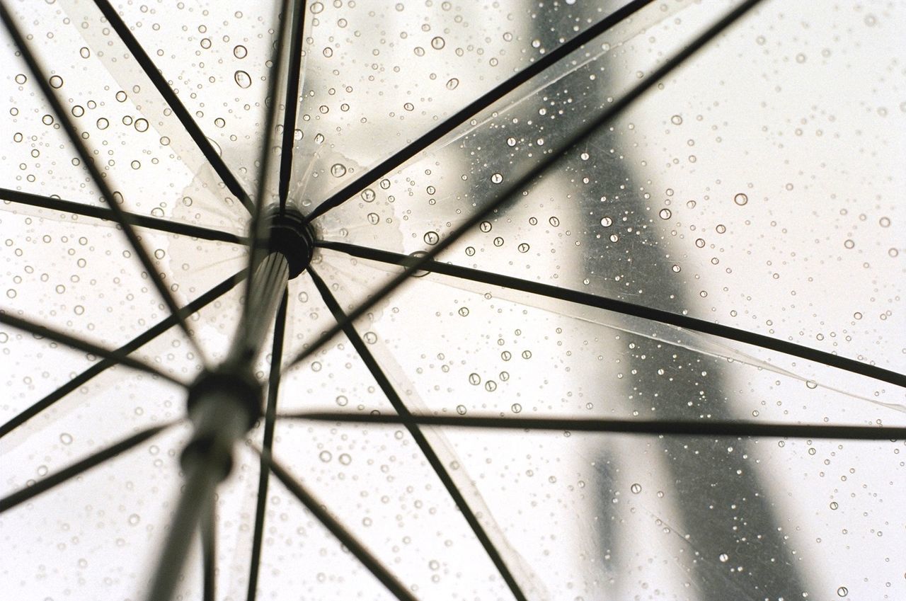 Cropped shot of umbrella with rain drops