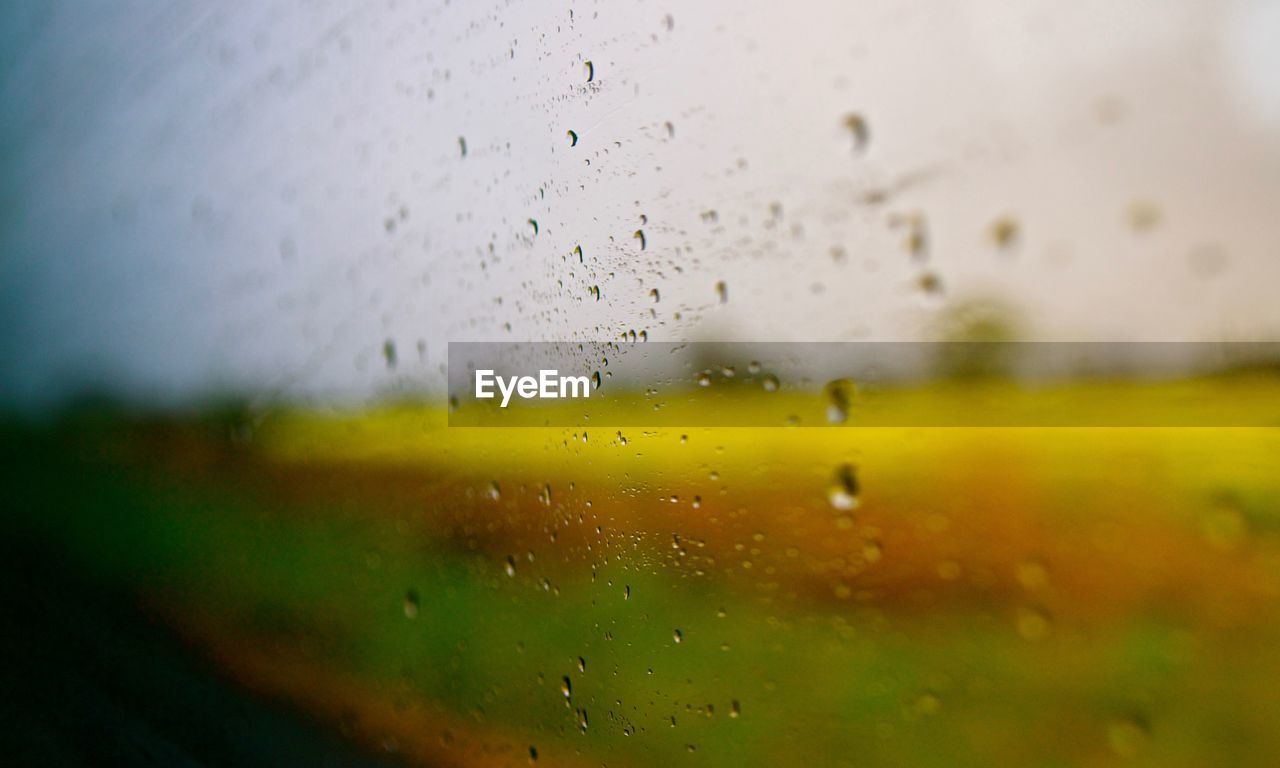 Close-up of water drops on window