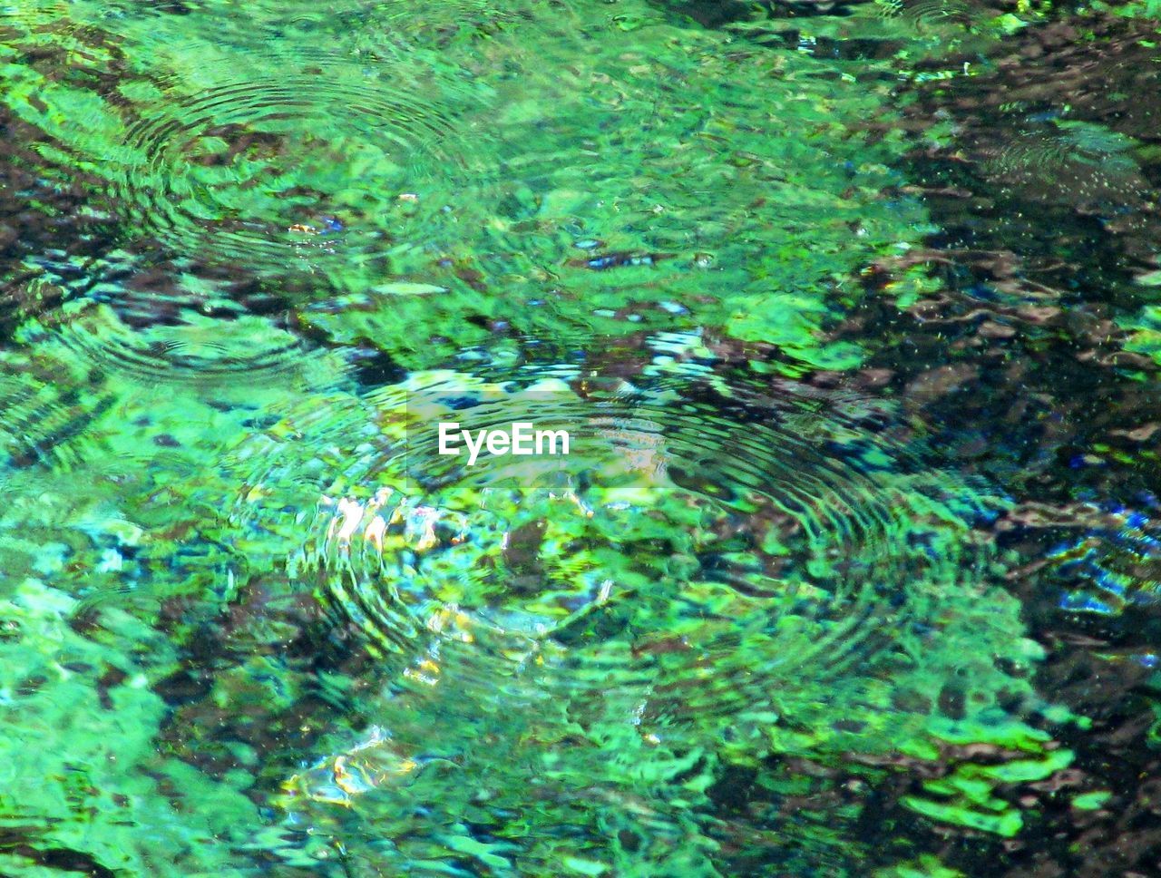 HIGH ANGLE VIEW OF RIPPLED WATER IN GREEN GRASS