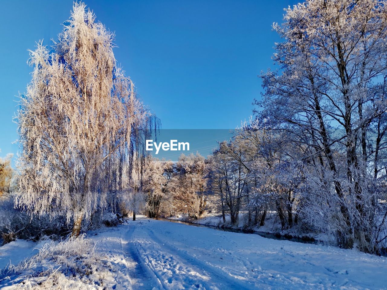 Wintertraum