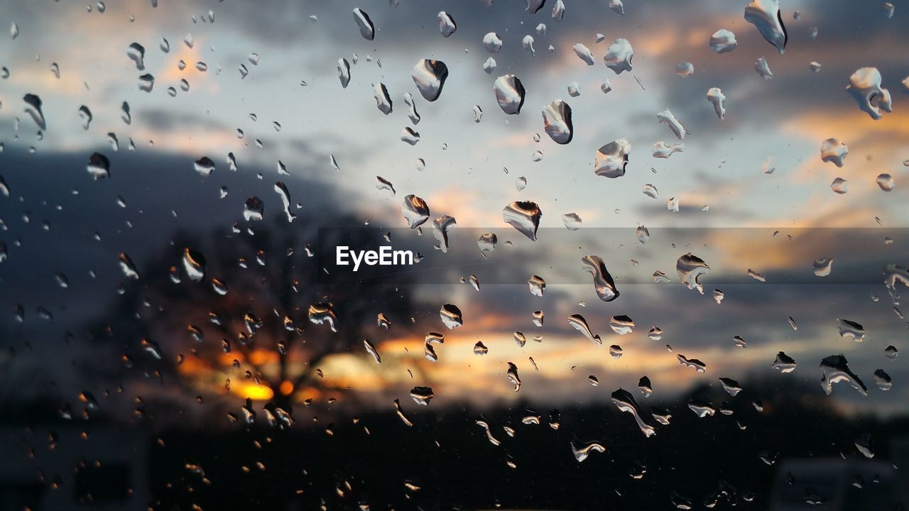 Trees against cloudy sky during sunset seen through wet window