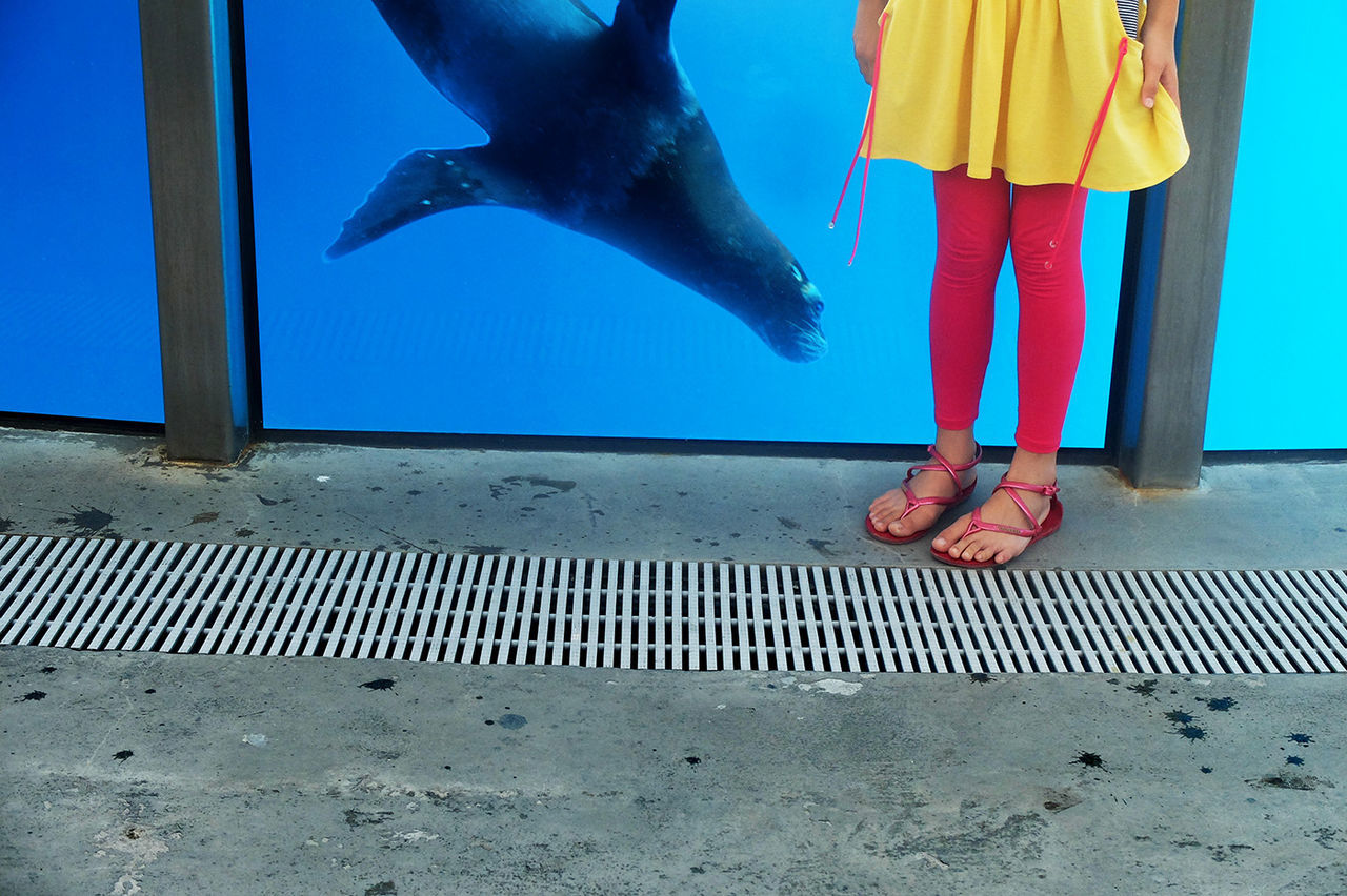 LOW SECTION OF WOMAN STANDING ON WATER