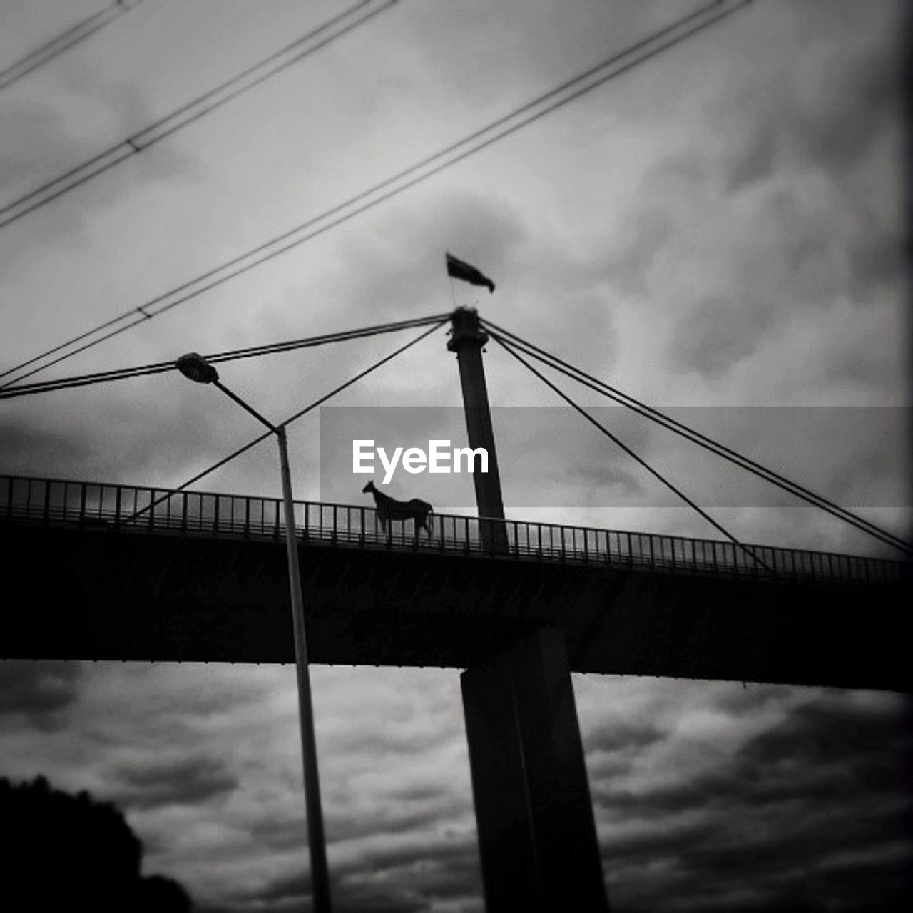 LOW ANGLE VIEW OF BRIDGE OVER RIVER