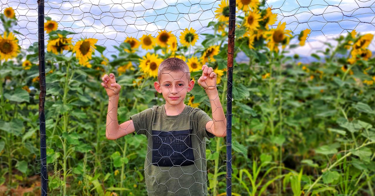 Portrait of smiling boy standing by sunflowers