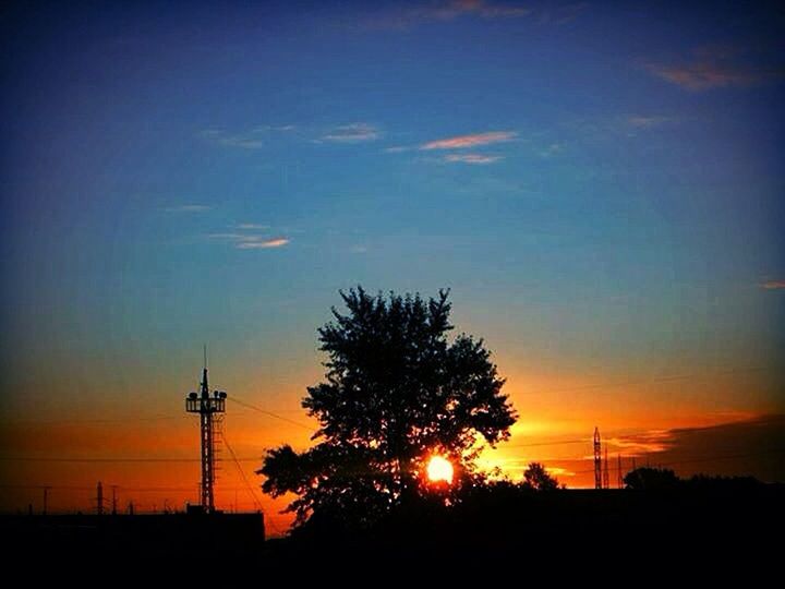 SILHOUETTE OF TREES AT SUNSET