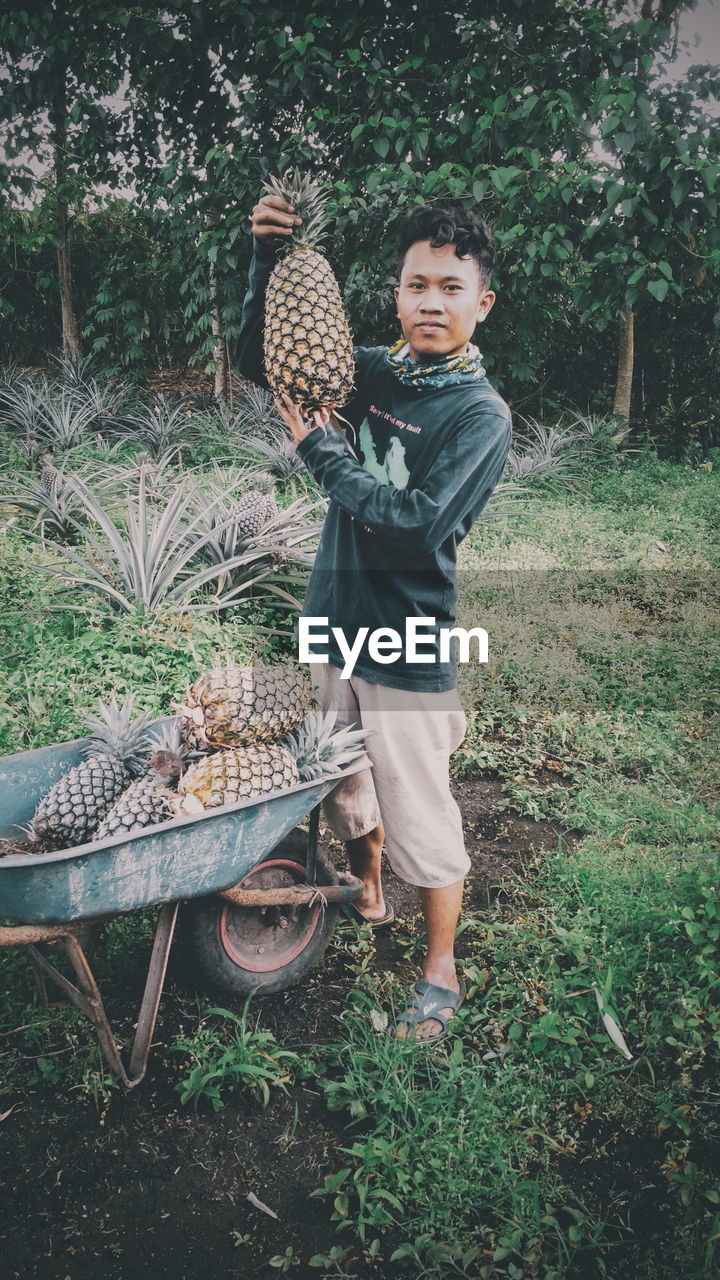 Full length of man with pineapples while standing on field