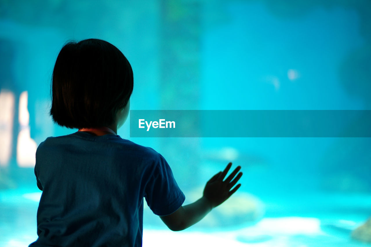 Rear view of girl looking at fish tank
