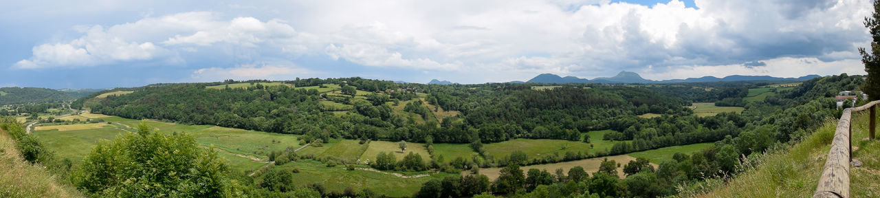 PANORAMIC SHOT OF TREES ON LAND AGAINST SKY