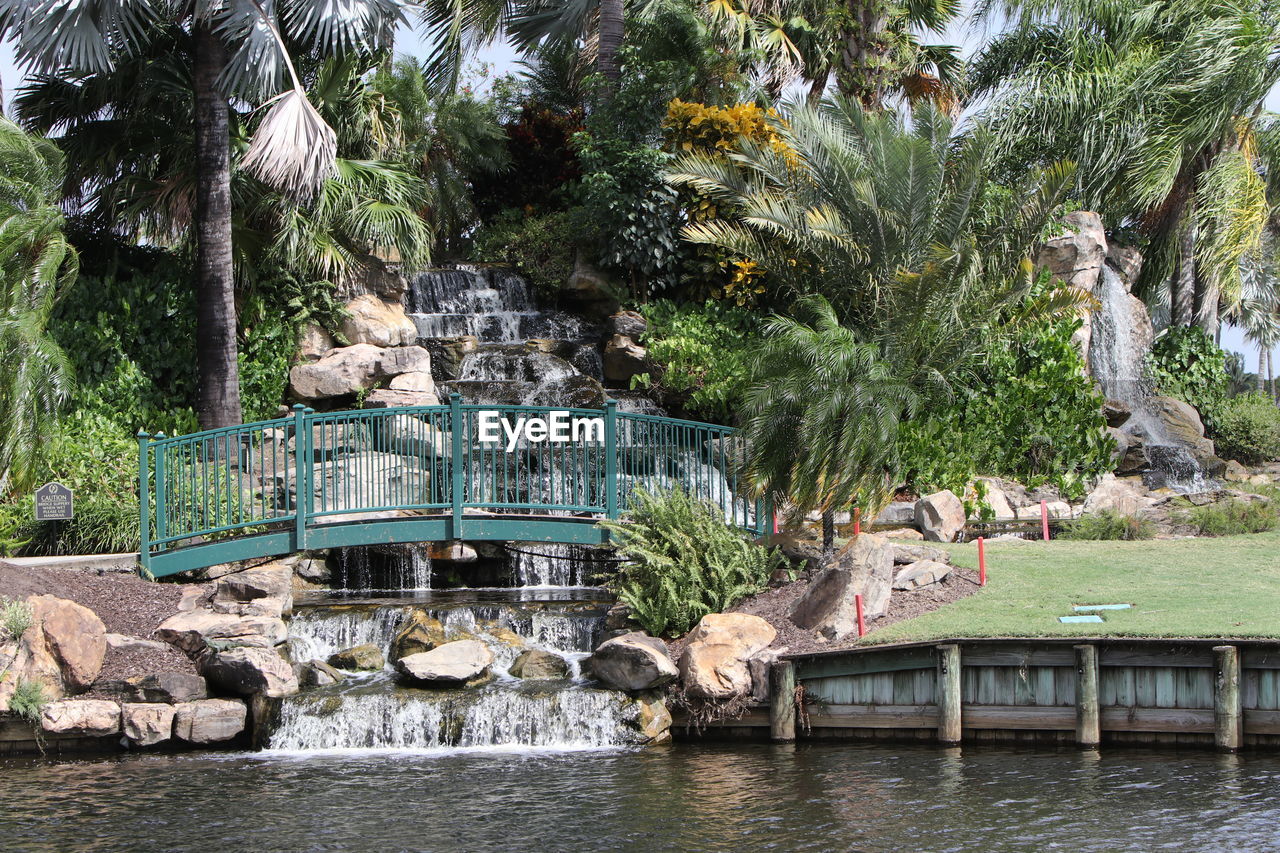 Palm trees by swimming pool ID 148750083