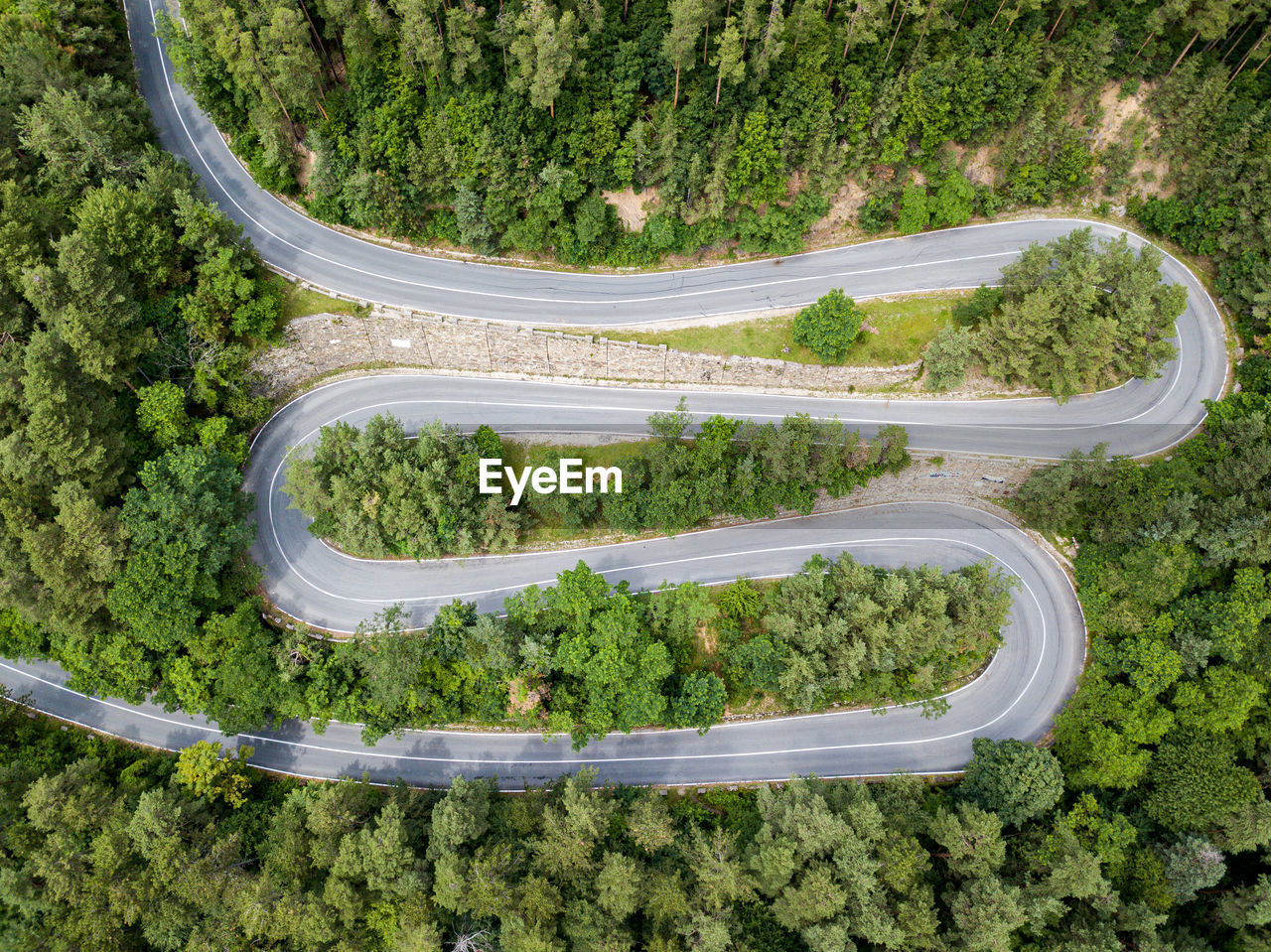 high angle view of road amidst trees