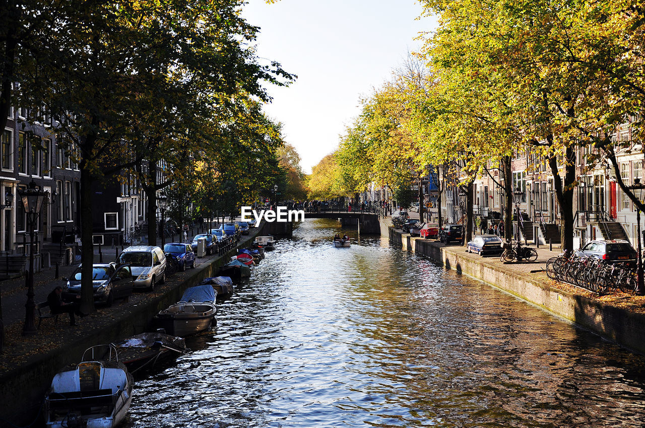 Boats moored in canal by trees