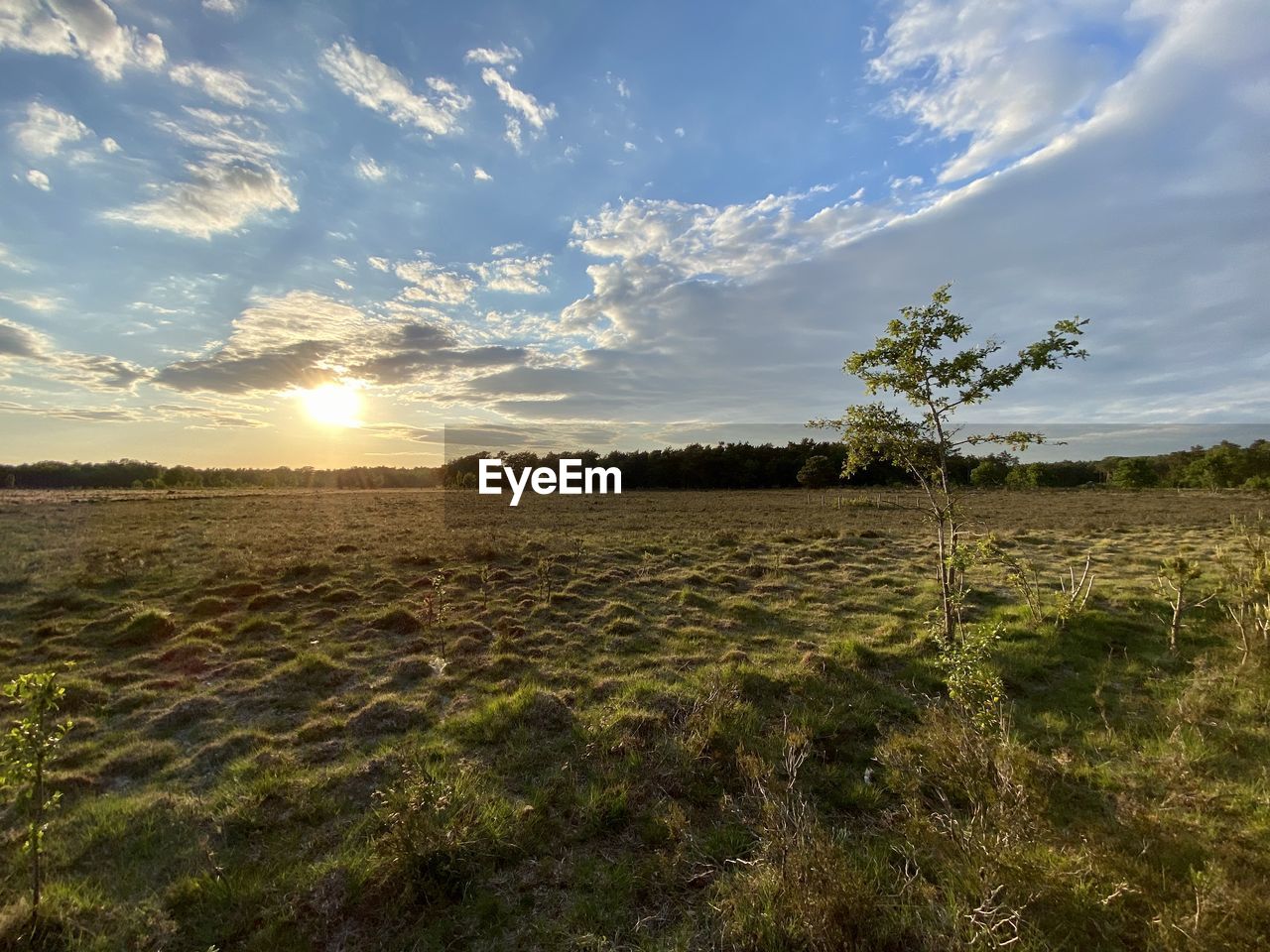 SCENIC VIEW OF SUNSET OVER FIELD