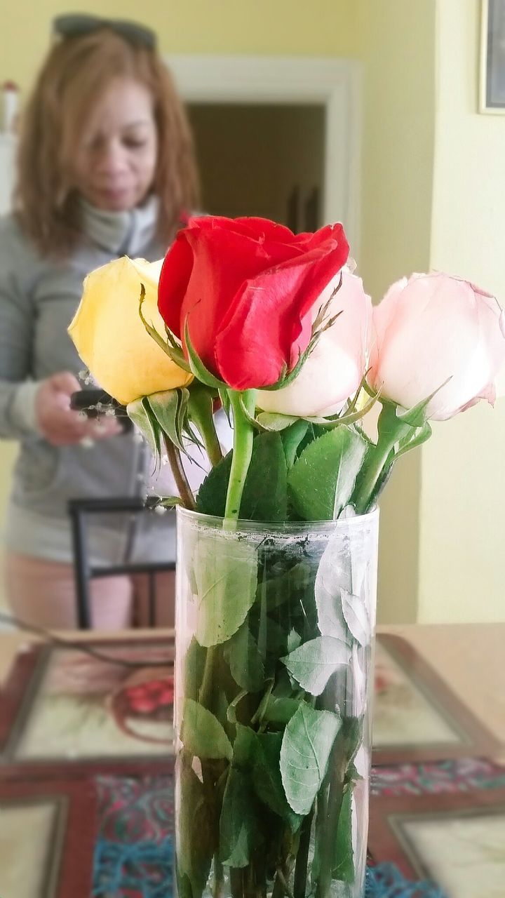 Close-up of roses blooming in glass vase with woman seen in background